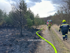 waldbrand stamberg