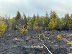 waldbrand stamberg