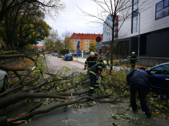 2017 10 29 Sturmeinsaetze  2 